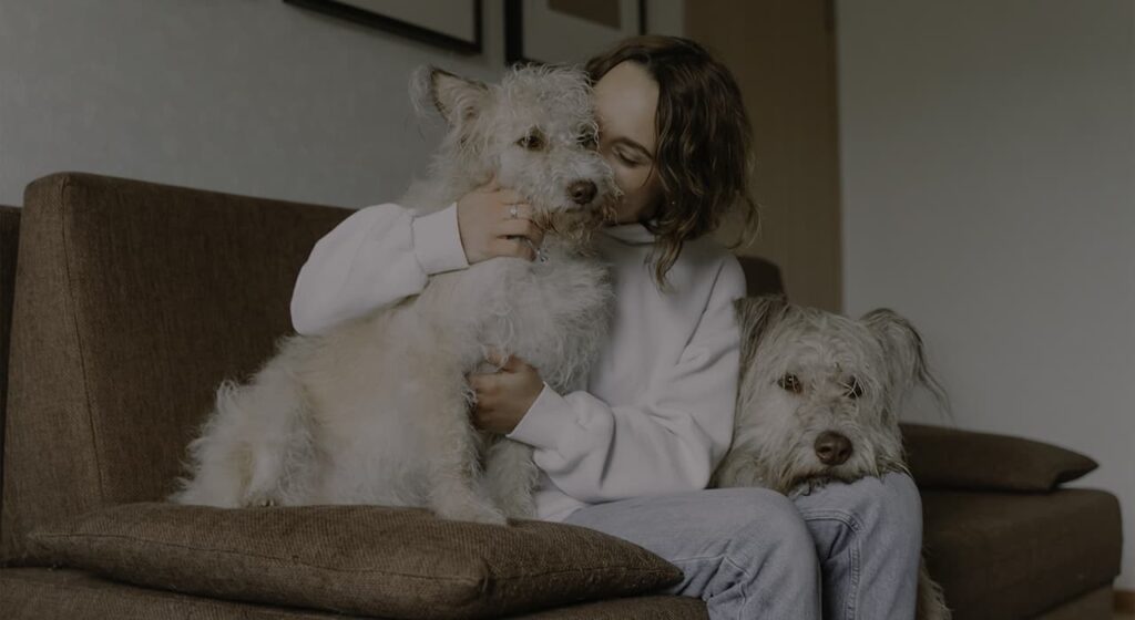 The role of animals in people’s lives
