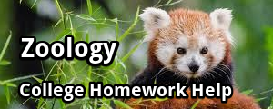 Get online help with college homework such as Zoology