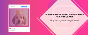 Buy IG story viewers for a profile about pets