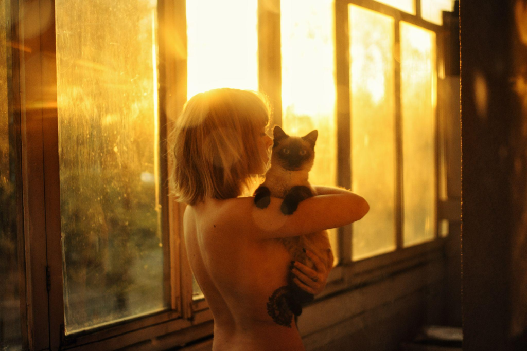 Best American pets