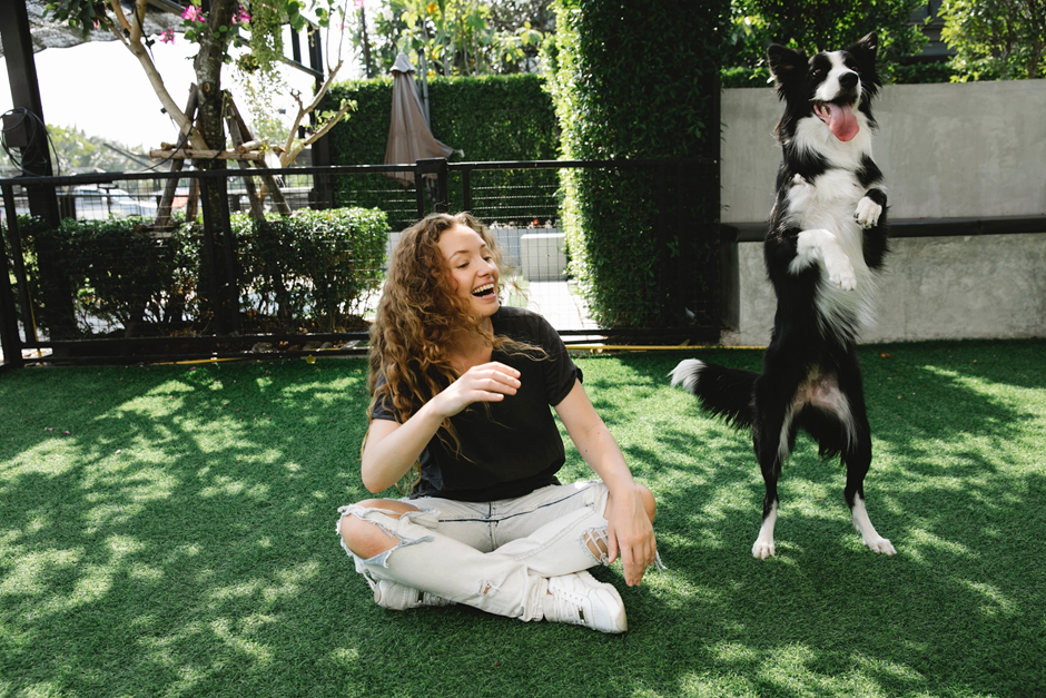 Explore the Fascinating World of Animal Intelligence